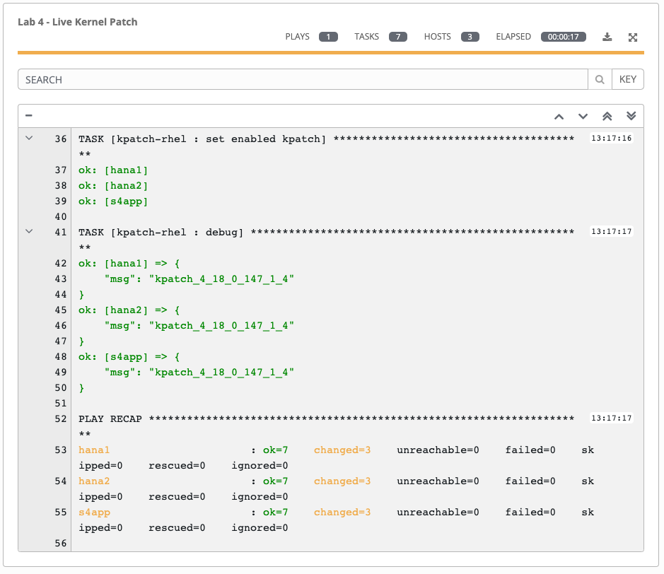 Play and Task Output