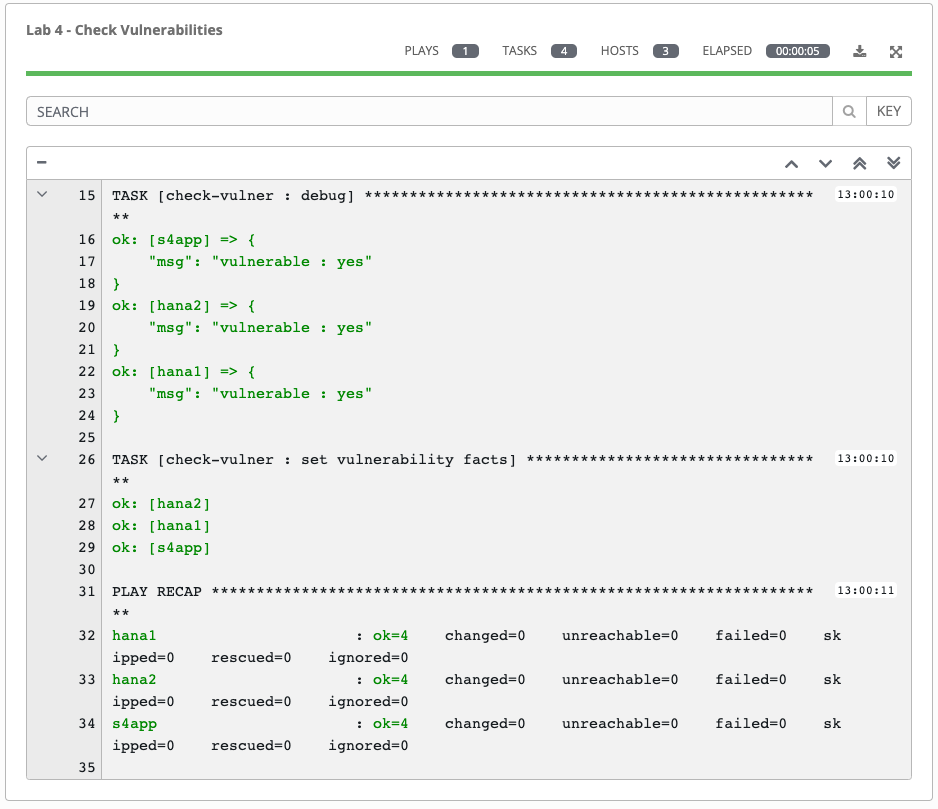 Play and Task Output