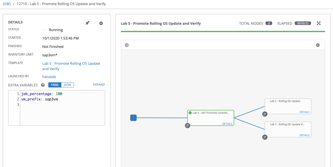 Workflow Job Details